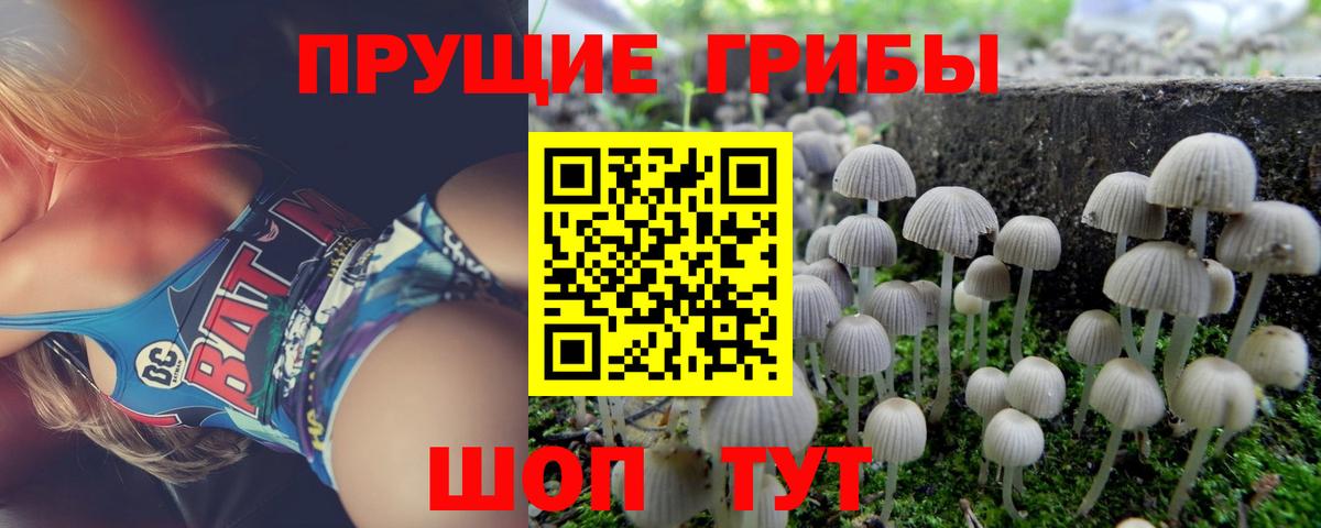 Галлюциногенные грибы Psilocybe  Вход с VPN  Норильск 